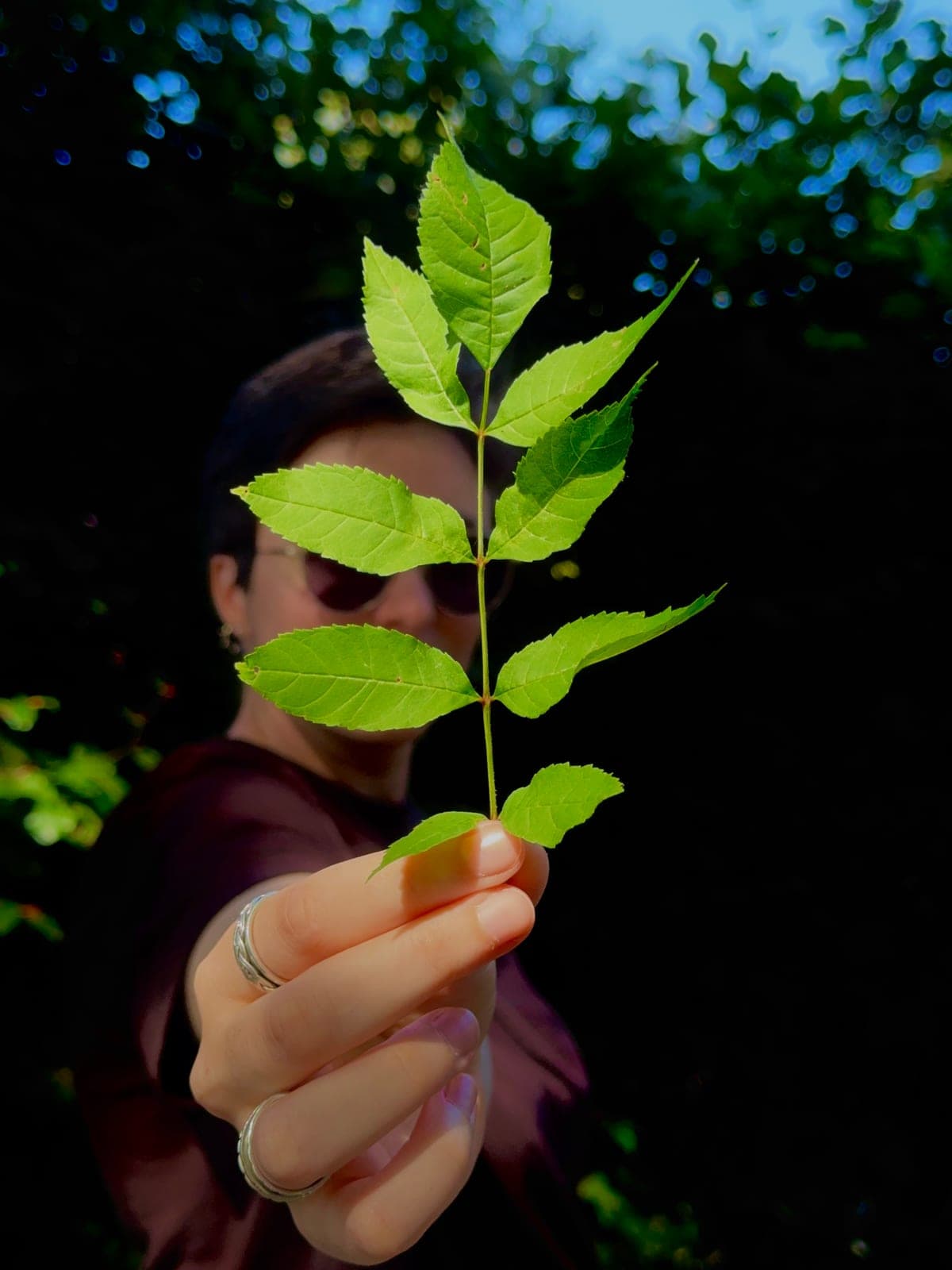 Ffion holding up an ash leaf in the sunshine