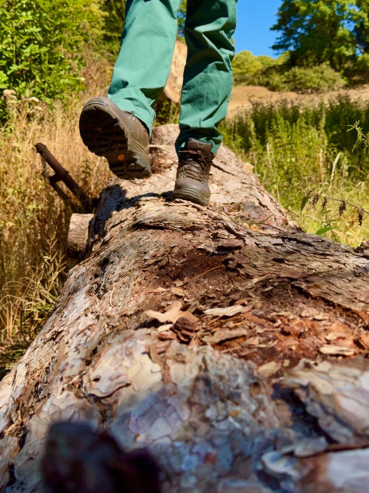 Walking boots balanced on a fallen log under a blue sky