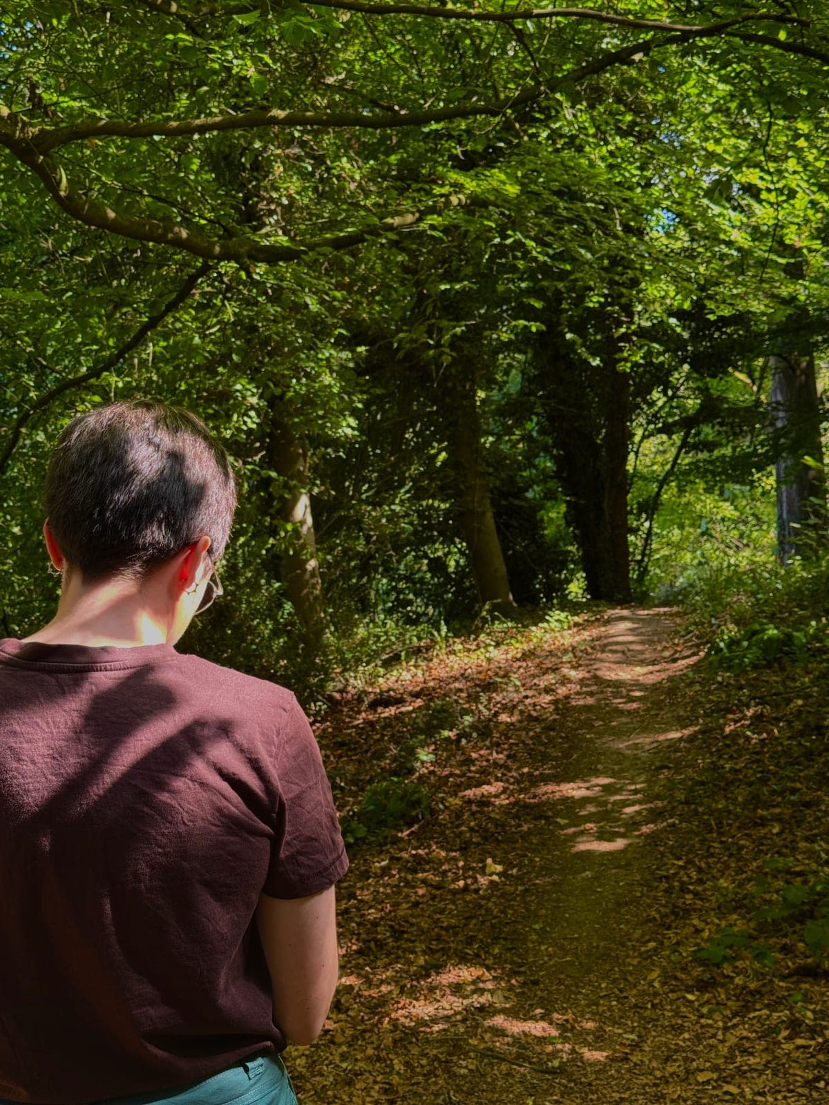 Walking a sunlit path through summer woodland